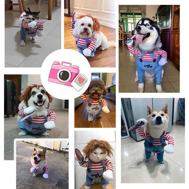 Halloween Pet Costume,Cute Dog Cosplay Halloween Funny Costume Party Special Costume