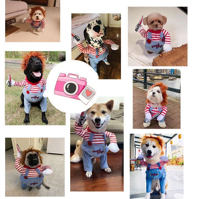 Halloween Pet Costume,Cute Dog Cosplay Halloween Funny Costume Party Special Costume