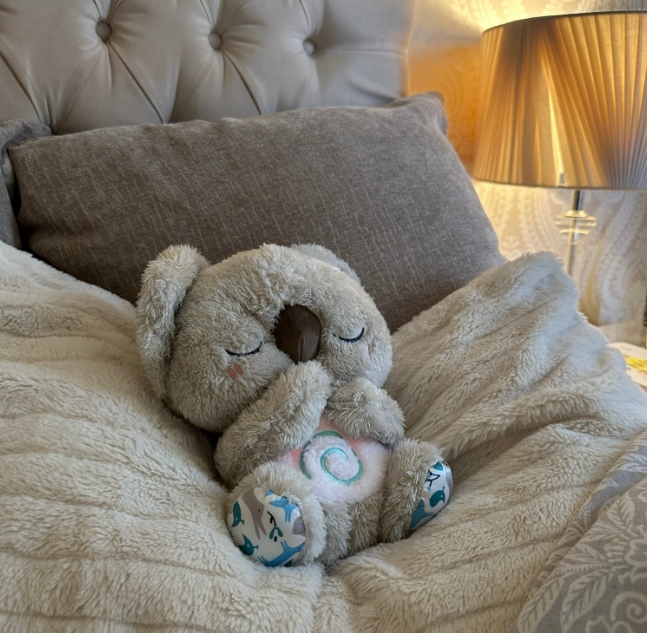 Le Koala En Relief - MiniMe Pillow