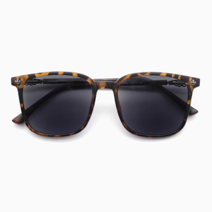 Eterlens｜老眼鏡・サングラスの2in1｜眩しさ対策｜老眼鏡機能付きサングラス-Eterlens