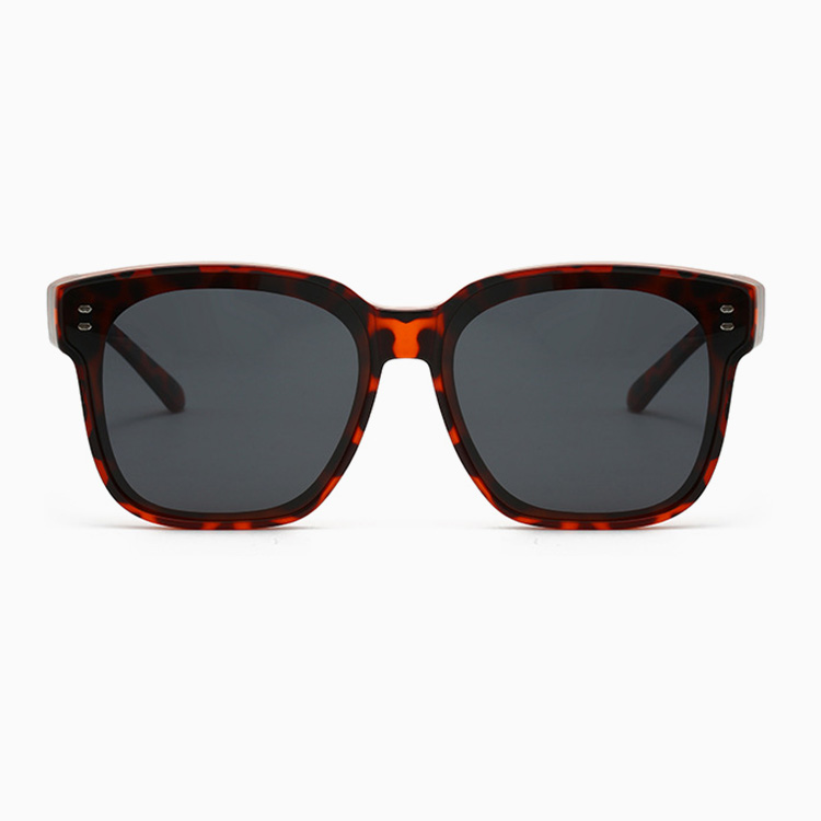 Eterlens｜TR90シンプルリベットモデル｜1本2役偏光タイプ｜メガネの上からかけられるオーバーグラス-Eterlens