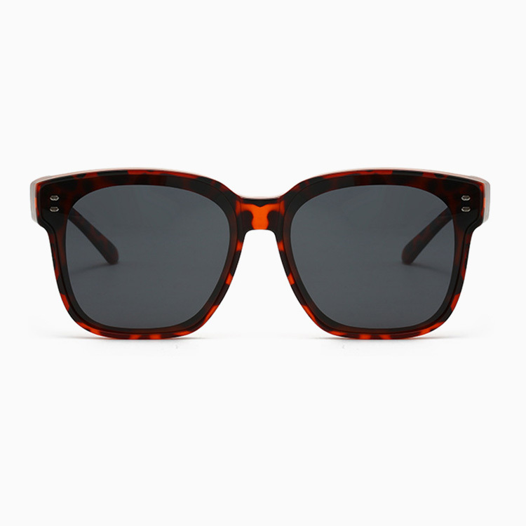 Eterlens｜TR90シンプルリベットモデル｜1本2役偏光タイプ｜メガネの上からかけられるオーバーグラス-Eterlens