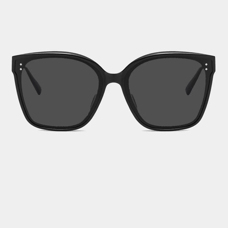 Eterlens 偏光サングラス-Eterlens