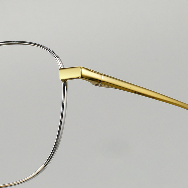 【小顔効果・純チタン】ETERLENS 手作り 8.4g 超軽量メガネ| IPメッキで錆びない | 日系スタイル ビッグフレーム | 軽量 快適 ビジネス - 商品画像 6/11 (Wellington RxReady)