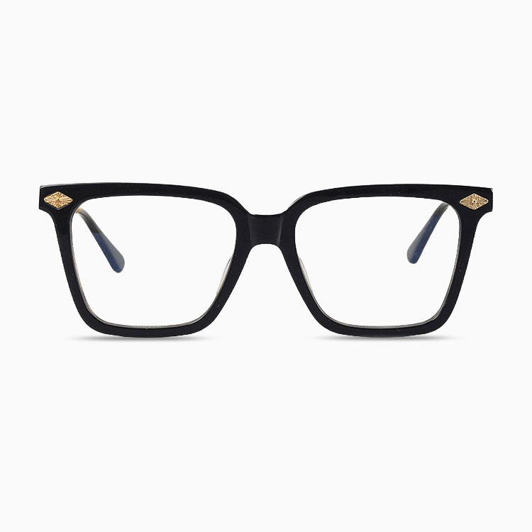 Eterlens｜ウェリントン 型チタンアセテート製メガネ｜トレンド感のあるデザイン