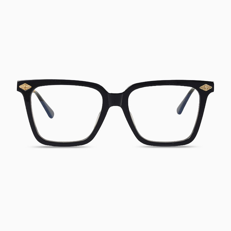 Eterlens｜ウェリントン 型チタンアセテート製メガネ｜トレンド感のあるデザイン