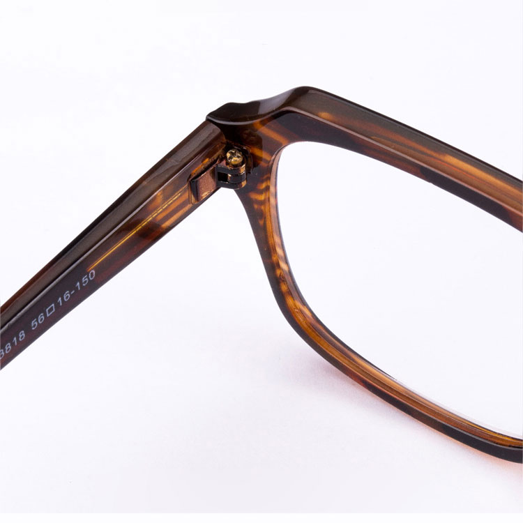 Eterlens | アセテート製ビッグフレーム老眼鏡|ブルーライトカット | レトロで個性あふれる