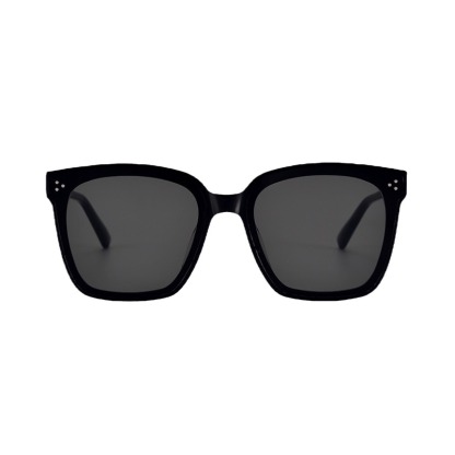 Eterlens 偏光サングラス-Eterlens