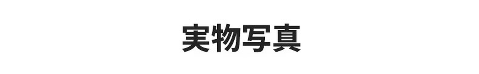 CROWN | 10g 超軽量チタンスプラウトパットメガネ | 匠の技が光る一本 | Wellington RxReady 商品説明画像 11