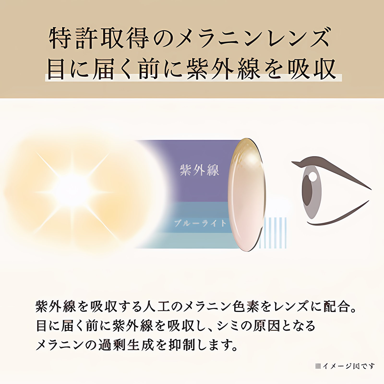 【美肌効果】透明感を守りぬく Eterlens｜オーバル型サングラス｜偏光レンズ・UVカット｜クラシックなデザイン・お出かけ用 商品画像 7