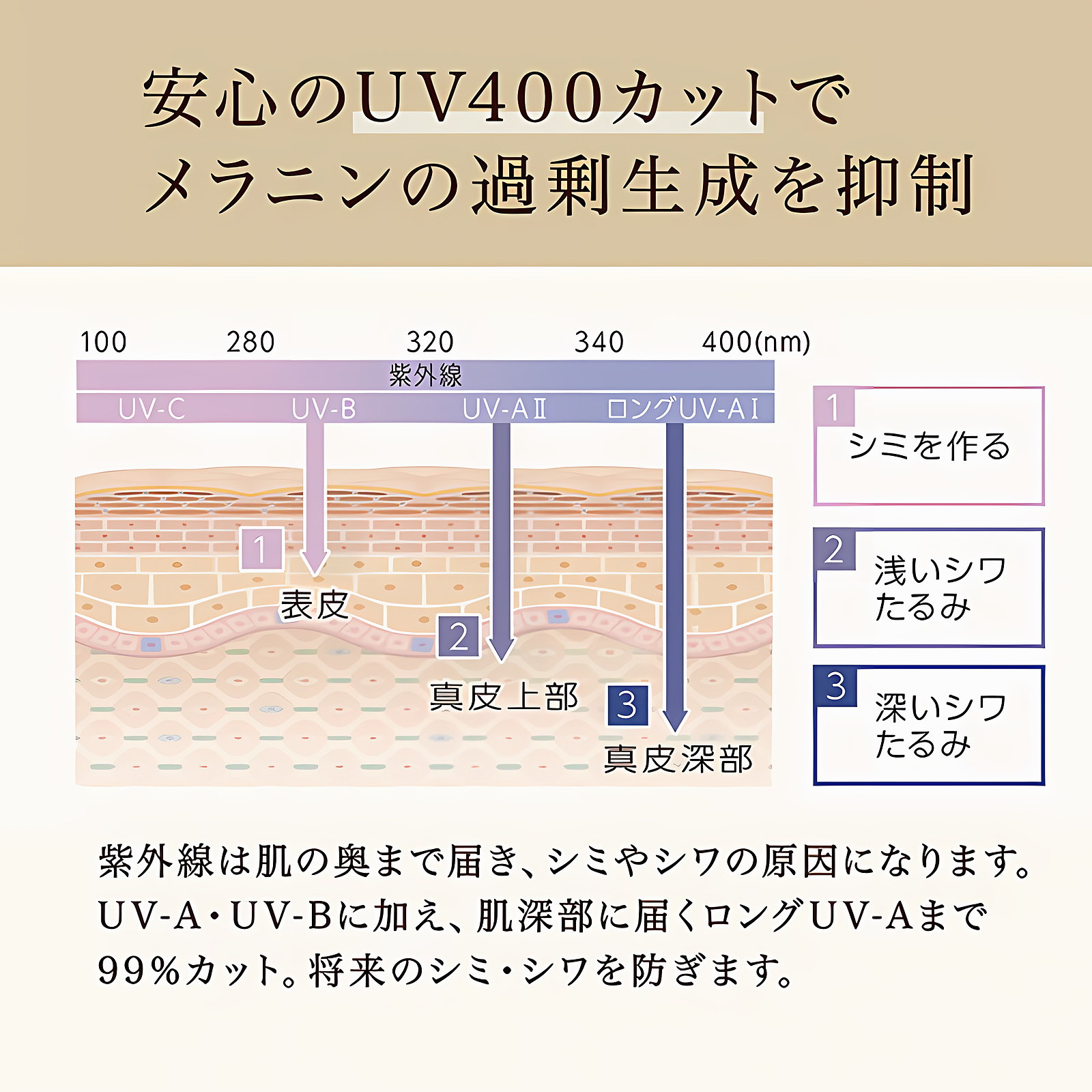 【美肌効果】透明感を守りぬく Eterlens｜オーバル型サングラス｜偏光レンズ・UVカット｜クラシックなデザイン・お出かけ用 商品画像 8