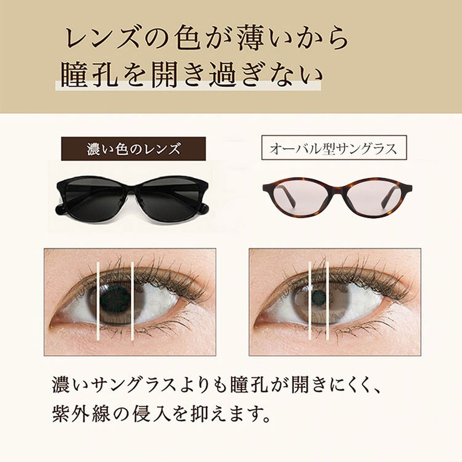 [CS]【上品さ漂う・抜け感のある設計】Eterlens｜オーバル型サングラス｜上質なアセテート素材・べっ甲柄｜偏光レンズ・UVカット｜クラシックなデザイン・お出かけ用
