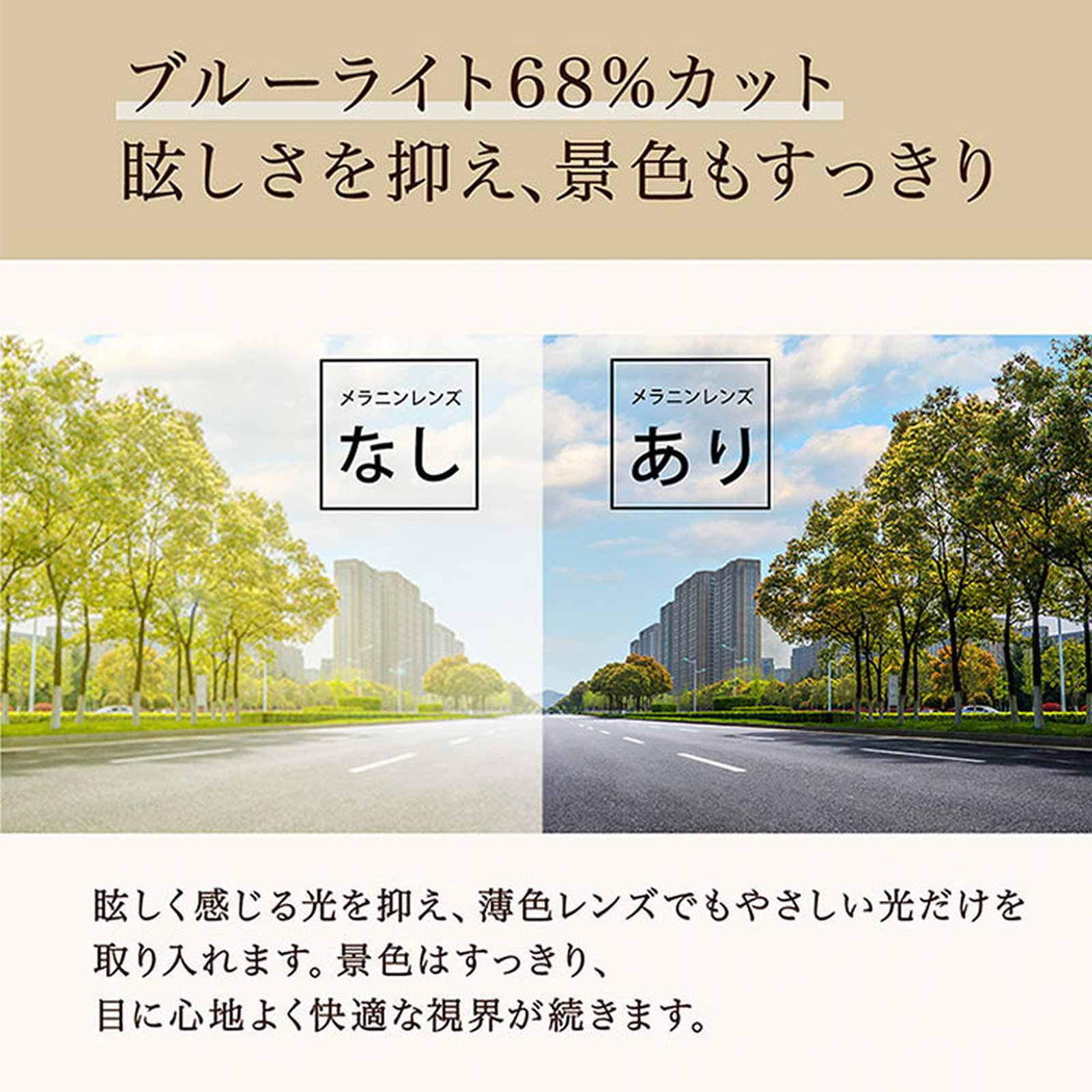 [CS]【上品さ漂う・抜け感のある設計】Eterlens｜オーバル型サングラス｜上質なアセテート素材・べっ甲柄｜偏光レンズ・UVカット｜クラシックなデザイン・お出かけ用