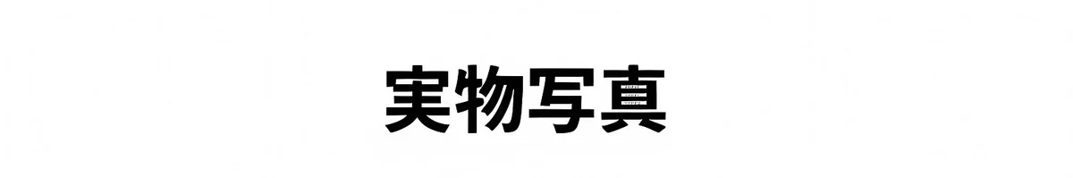 【調光機能・遠近両用】Eterlens |レトロな鯖江風 | サンドイッチ構造のフレーム |クラシックレトロ 小顔効果 |スマート調光 | 近くも遠くもこれ一本| 2色展開 商品説明画像 14