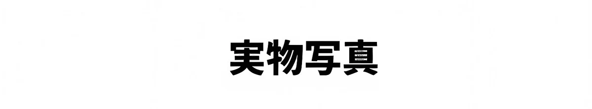 翻译件-Eterlens磁吸ND九档可调光墨镜-1260118_06.jpg