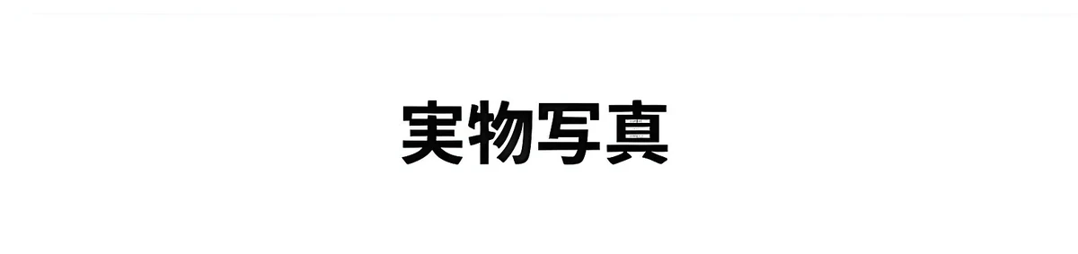 リベット付きボストンビッグフレームメガネ | 上質感漂うレトロスタイル | Boston FoldLite 商品説明画像 10