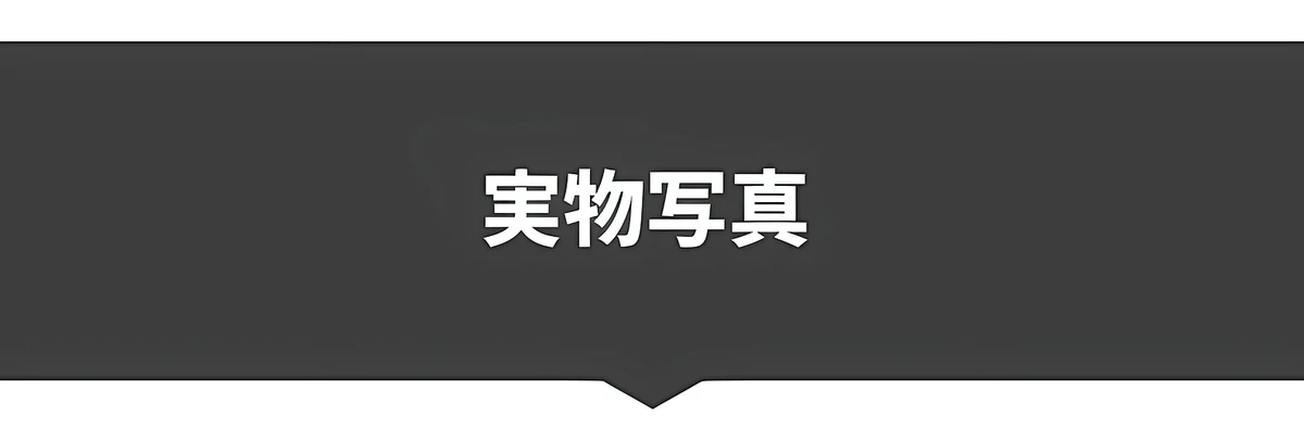 知性の窓レトロ風太セルフレームメガネ | クラシックな太セル | コーデしやすい | Wellington RxReady 商品説明画像 14