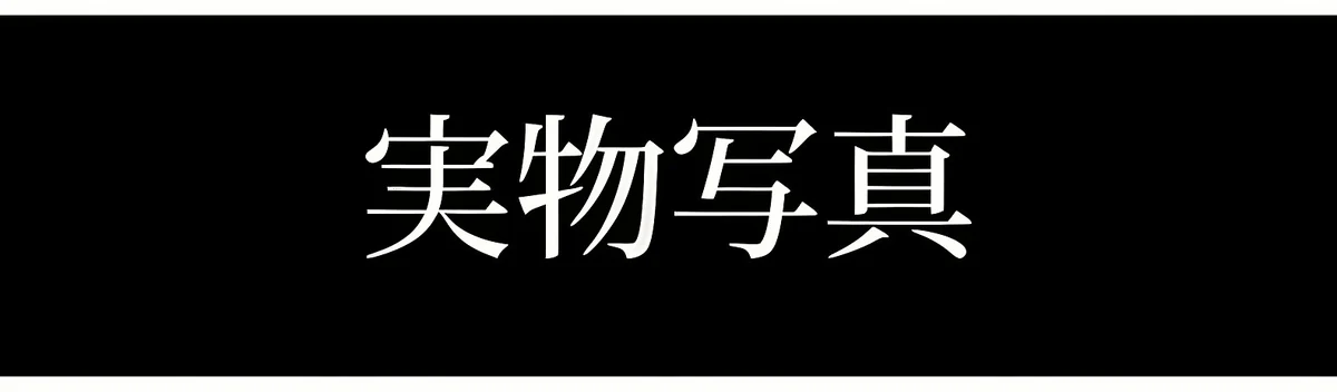 知性の窓｜大人気のウェリントンフレームメガネ│クラシカルな太セル | Wellington RxReady 商品説明画像 5