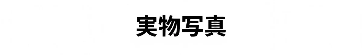 【時の円環・レトロモダン】Eterlens おしゃれ 丸メガネ | 日本製純チタン超軽量フレーム | 度付き対応・知的で上品な大人デザイン 商品説明画像 10