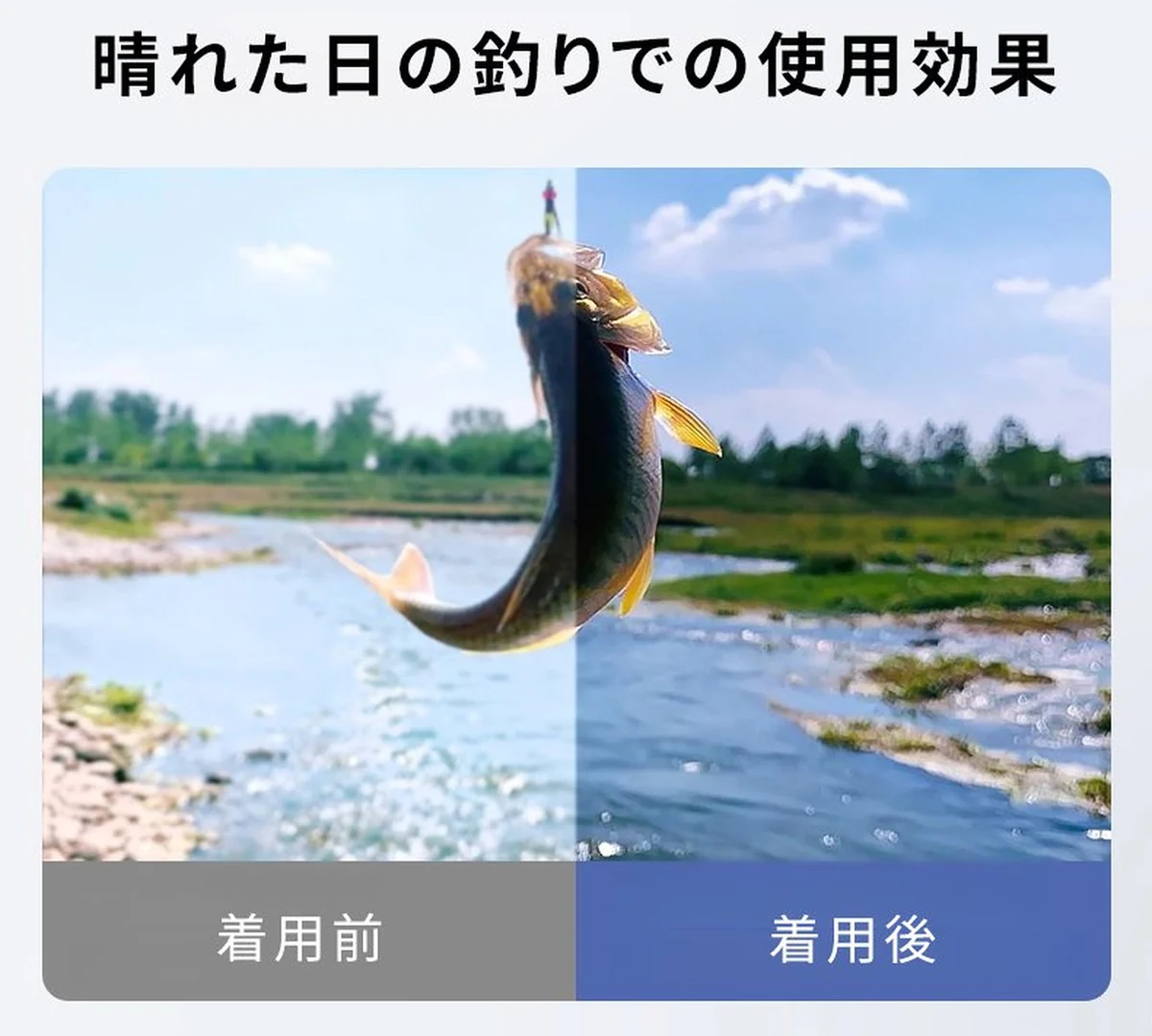 1_09.jpg
