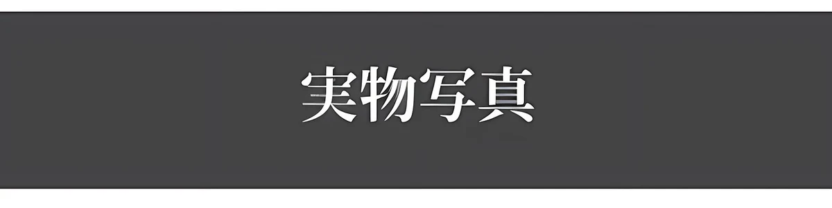 遠近両用累進多焦点ブルーライトカットビッグフレーム老眼鏡 | Wellington Progressive 商品説明画像 14