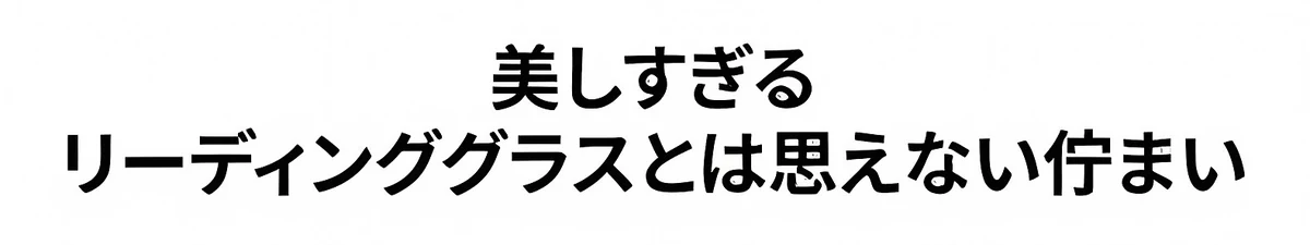 【ブルーライトカット・調光レンズ・リムレス】 Eterlens｜ミニマルな多角形リムレス老眼鏡｜シャープな幾何学デザイン・洗練された印象｜目にやさしくて快適 商品説明画像 7