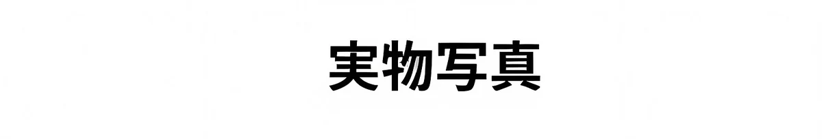 Eterlens 【遠近両用・累進多焦点レンズ】THE MAestro| 巨匠の知性と、ストレスフリーのかけ心地。| 新感覚サーモントブロー ブルーライトカット 商品説明画像 20