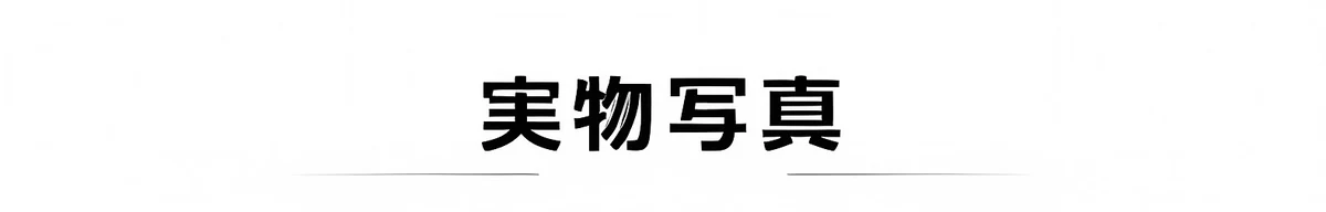 Eterlens GRAVITY｜防風 防塵 花粉対策｜昼夜自動調光｜遠近両用｜流線型デザインで目もとをしっかりガード 商品説明画像 11