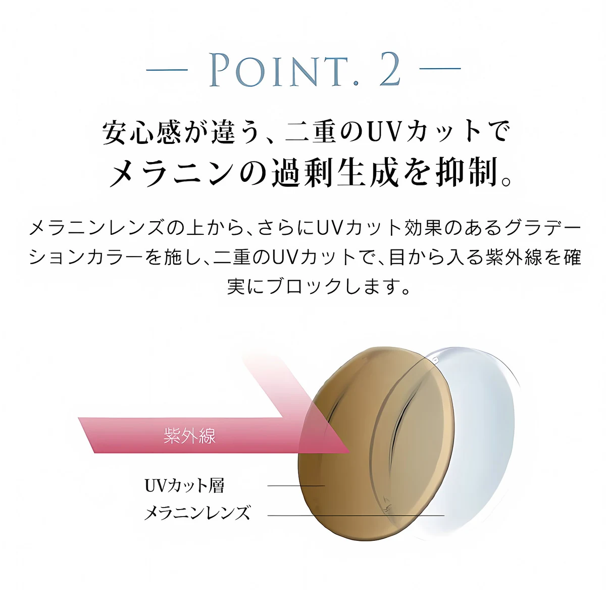 Eterlens  | ボストン型カラーレンズサングラス