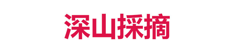 刺梨乾