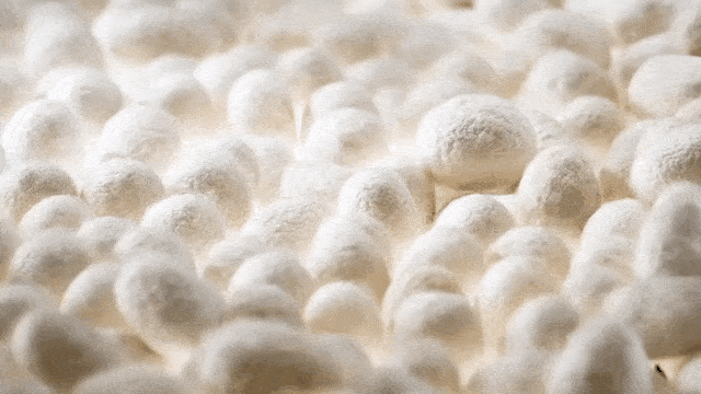 20240722_111318_069.gif