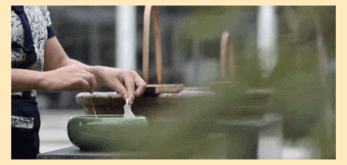 20240803_094201_067.gif