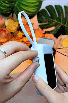 4.gif
