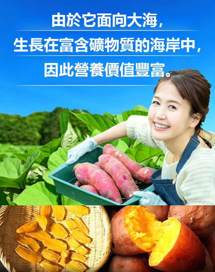 【低糖膳食】香甜軟糯水晶紫薯乾