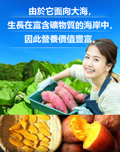 【低糖膳食】香甜軟糯水晶紫薯乾