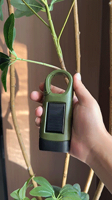 7.gif