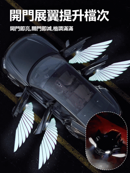 雙車門對裝迎​​賓
