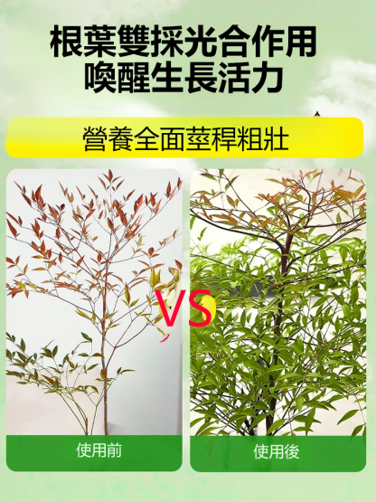 營養液植物通用型