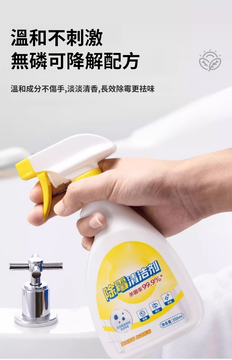 翻译件-SL-快速除霉清洁剂-1167193-去logo模糊_19.jpg