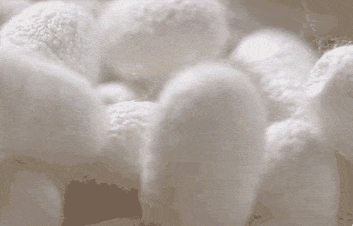 780e65a953a2febfda71a9e57a93d61a.gif