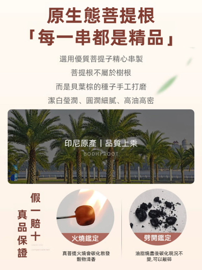 【納福轉運】菩提手串