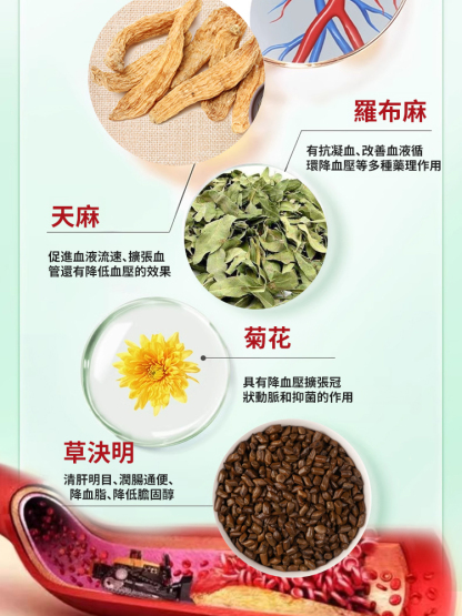 植物草本金漢牌麻菊草飲植物飲