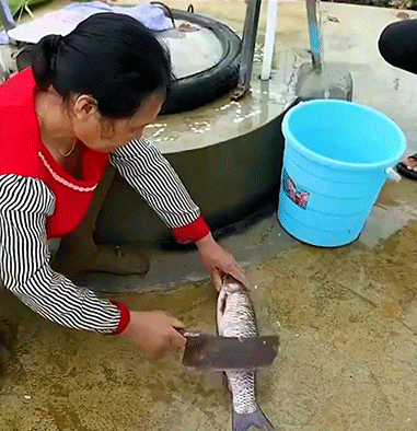 11.gif