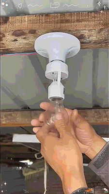 6.gif