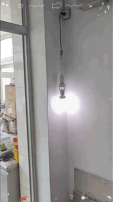 2.gif