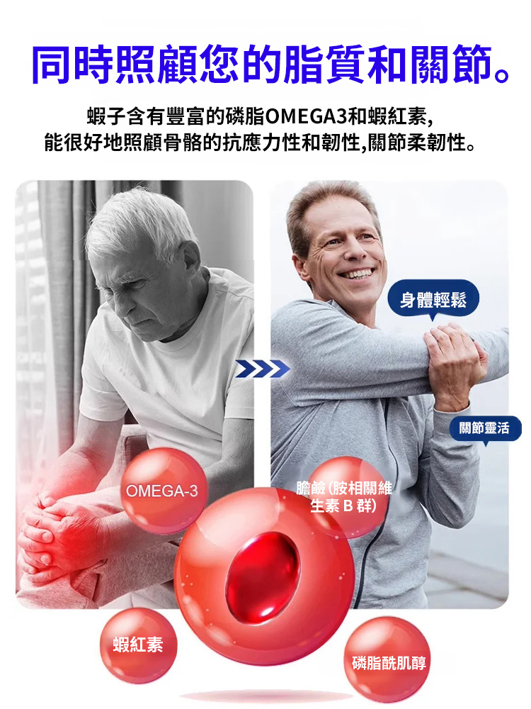 【低脂高蛋白】💥現烤即食大號九節蝦乾💥