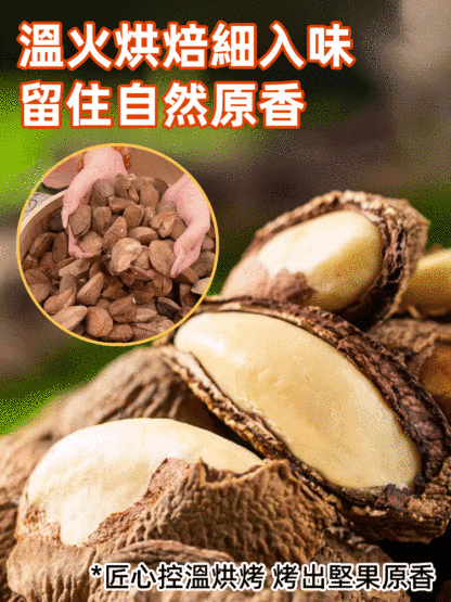 新貨開口巴西鮑魚果