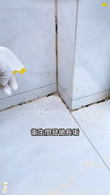 3.gif