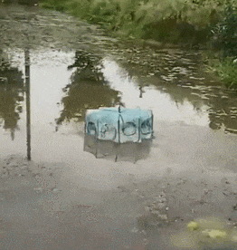 1630385462709924.gif