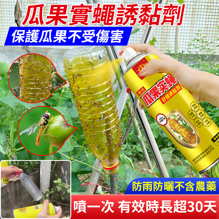 防雨防曬瓜果實蠅誘黏劑